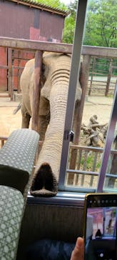 東北サファリパークに投稿された画像（2023/5/6）