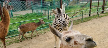 東北サファリパークに投稿された画像（2023/5/6）