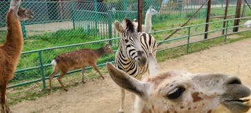 東北サファリパークに投稿された画像（2023/5/6）