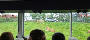 東北サファリパークに投稿された画像（2023/5/6）