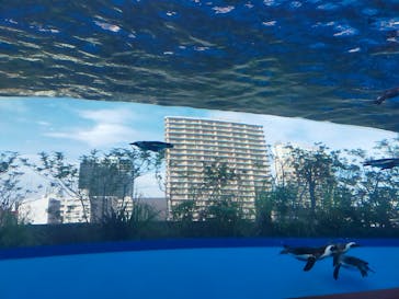 サンシャイン水族館に投稿された画像（2023/5/7）