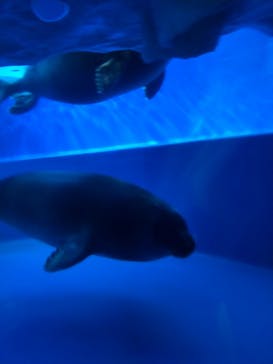 サンシャイン水族館に投稿された画像（2023/5/7）