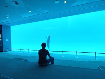 名古屋港水族館に投稿された画像（2023/5/7）