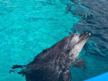 名古屋港水族館に投稿された画像（2023/5/7）