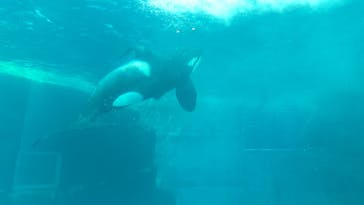 名古屋港水族館に投稿された画像（2023/5/7）
