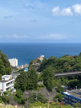 熱川バナナワニ園に投稿された画像（2023/5/7）