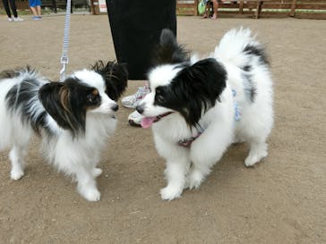 わんダフルネイチャーヴィレッジに投稿された画像（2023/5/7）