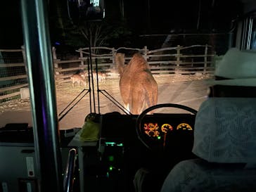 群馬サファリパークに投稿された画像（2023/5/7）