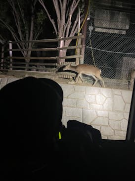 群馬サファリパークに投稿された画像（2023/5/7）