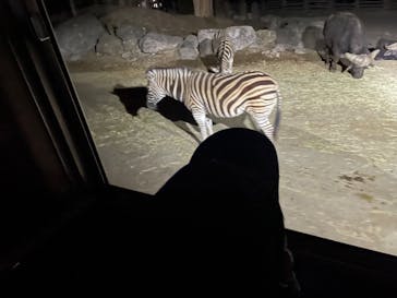 群馬サファリパークに投稿された画像（2023/5/7）