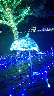 伊豆ぐらんぱる公園に投稿された画像（2023/5/7）