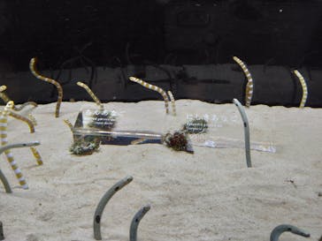 京都水族館に投稿された画像（2023/5/7）