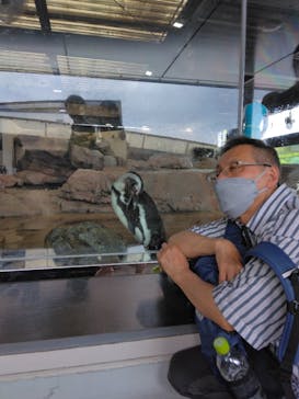 京都水族館に投稿された画像（2023/5/7）