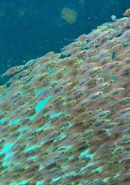 環境水族館アクアマリンふくしまに投稿された画像（2023/5/7）