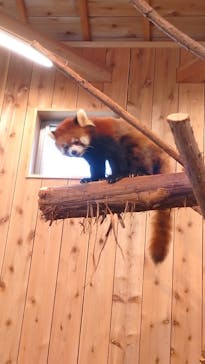 伊豆シャボテン動物公園に投稿された画像（2023/5/7）