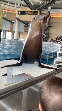アクアワールド茨城県大洗水族館に投稿された画像（2023/5/7）