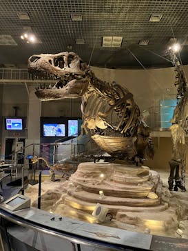 国立科学博物館に投稿された画像（2023/5/7）