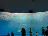 名古屋港水族館に投稿された画像（2023/5/7）