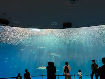 名古屋港水族館に投稿された画像（2023/5/7）