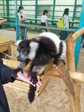 東北サファリパークに投稿された画像（2023/5/7）