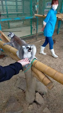 東北サファリパークに投稿された画像（2023/5/7）