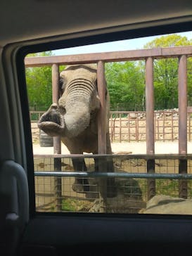 東北サファリパークに投稿された画像（2023/5/7）