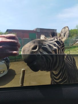 東北サファリパークに投稿された画像（2023/5/7）