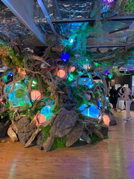 NARA IKIMONO MUSEUMに投稿された画像（2023/5/7）