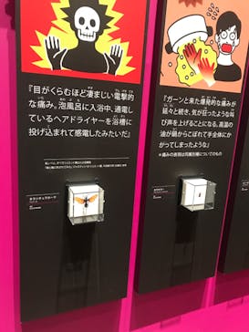 特別展「毒」に投稿された画像（2023/5/7）