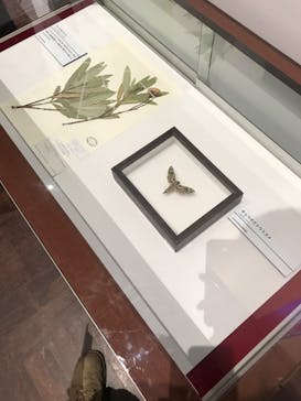 特別展「毒」に投稿された画像（2023/5/7）