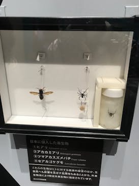 特別展「毒」に投稿された画像（2023/5/7）