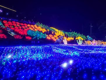 伊豆ぐらんぱる公園に投稿された画像（2023/5/7）