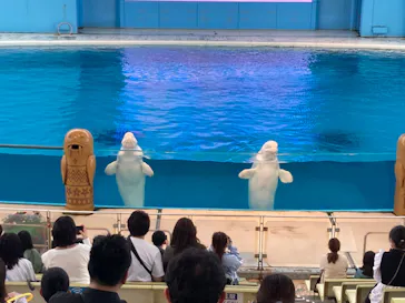 横浜・八景島シーパラダイスに投稿された画像（2023/5/7）