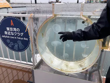 横浜・八景島シーパラダイスに投稿された画像（2023/5/7）