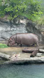 天王寺動物園に投稿された画像（2023/5/7）