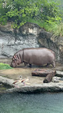 天王寺動物園に投稿された画像（2023/5/7）