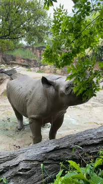 天王寺動物園に投稿された画像（2023/5/7）