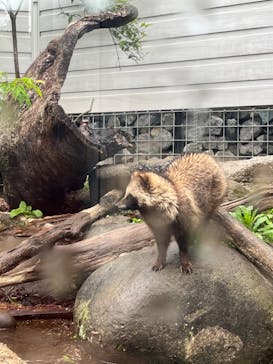 環境水族館アクアマリンふくしまに投稿された画像（2023/5/7）