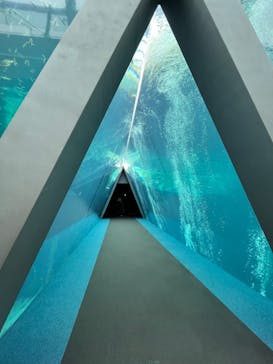 環境水族館アクアマリンふくしまに投稿された画像（2023/5/7）