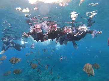 武藤潜水に投稿された画像（2023/5/7）