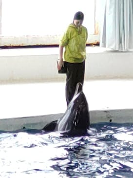 アクアワールド茨城県大洗水族館に投稿された画像（2023/5/7）