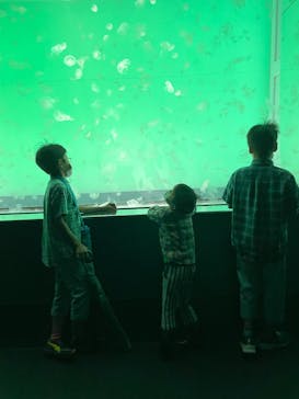 アクアワールド茨城県大洗水族館に投稿された画像（2023/5/7）