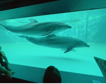 しながわ水族館に投稿された画像（2023/5/7）