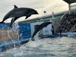 仙台うみの杜水族館に投稿された画像（2023/5/7）