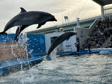 仙台うみの杜水族館に投稿された画像（2023/5/7）
