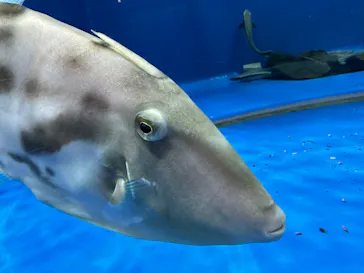 仙台うみの杜水族館に投稿された画像（2023/5/7）