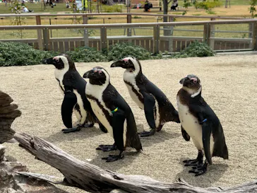 仙台うみの杜水族館に投稿された画像（2023/5/7）