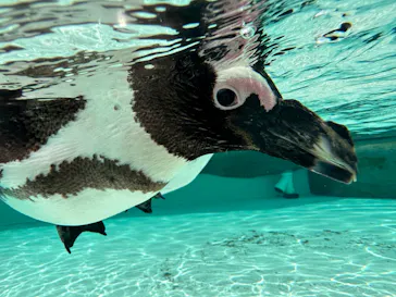 仙台うみの杜水族館に投稿された画像（2023/5/7）