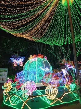 美らヤシパークオキナワ・東南植物楽園に投稿された画像（2023/5/7）