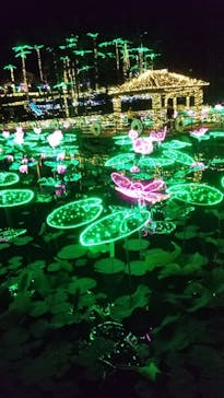 美らヤシパークオキナワ・東南植物楽園に投稿された画像（2023/5/7）